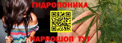 молекула духа Можга